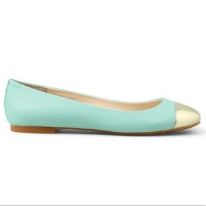 New In Box C.Wonder Mint w Gold Toe Flats